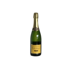 Cremant RESERVE de Bourgogne Brut - šumivé šampanského typu 0,75