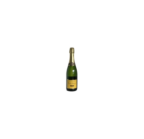 Cremant RESERVE de Bourgogne Brut - šumivé šampanského typu 0,75